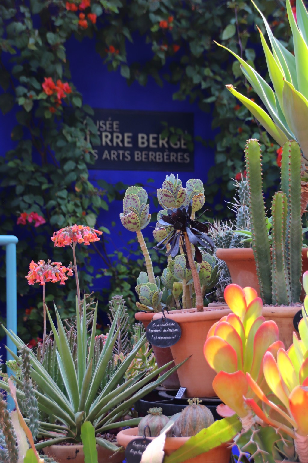 Cosa vedere a&nbsp;Marrakech